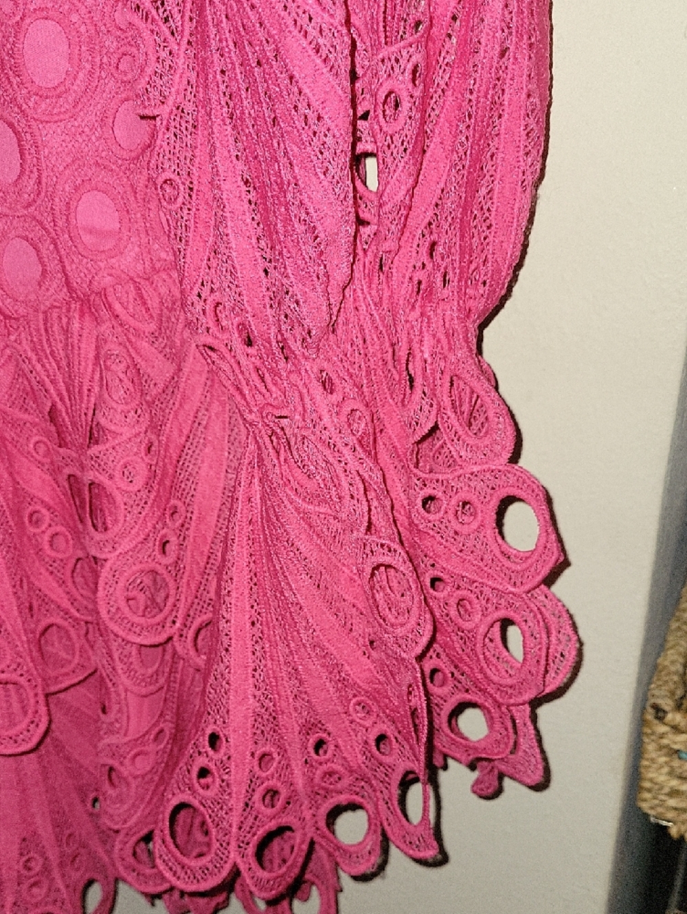 Hot Pink Lace Ruffled Mini Dress - Picture 7 of 11